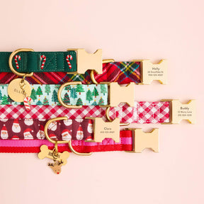 The Foggy Dog - Dog Collar Evergreen Candy Cane
