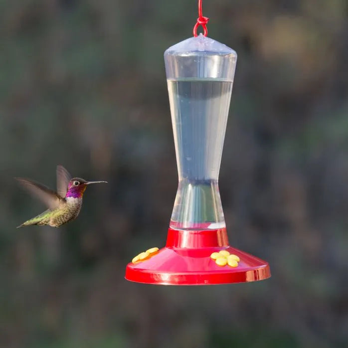 Perky Pet - Hummingbird Feeder Clear 8oz.