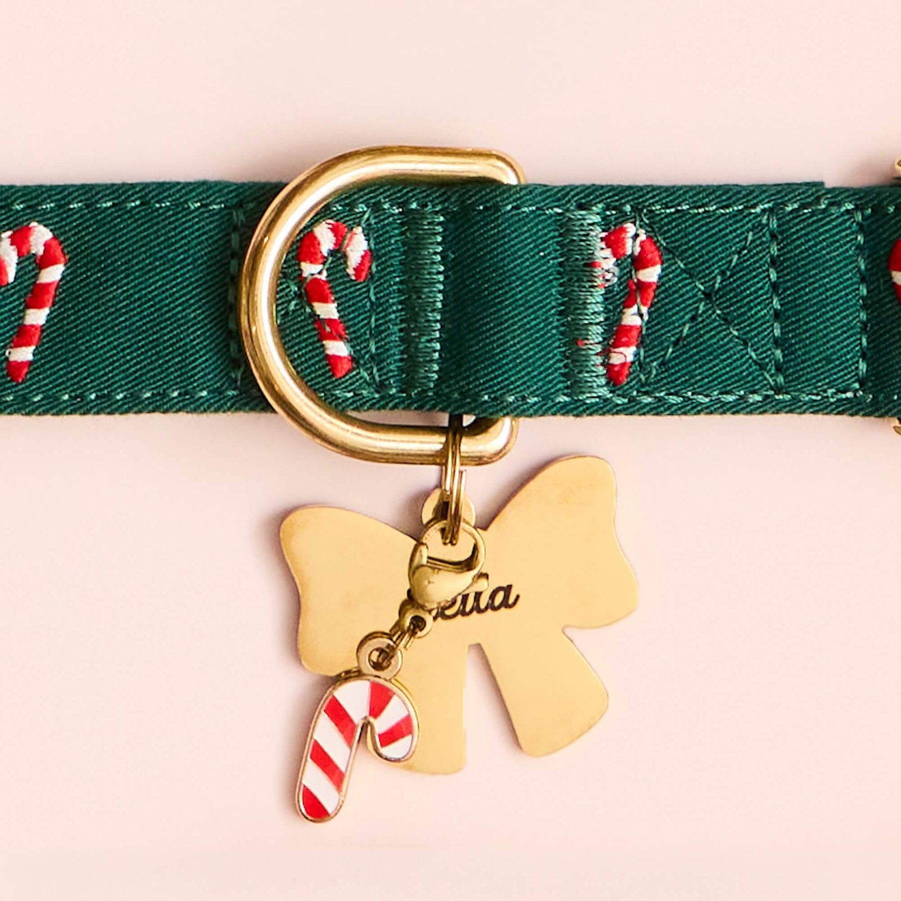 The Foggy Dog - Dog Collar Evergreen Candy Cane