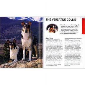 Barron's - Collies Complete Pet Owner's Manual