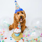 Huxley & Kent - Hat Party Time W/ Snug Fit