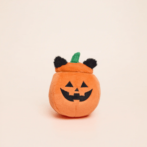 The Foggy Dog - Dog Toy Cat-O'-Lantern 2-In-1