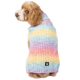Petrageous Designs - Sweater Rainbow Ombre Turtleneck