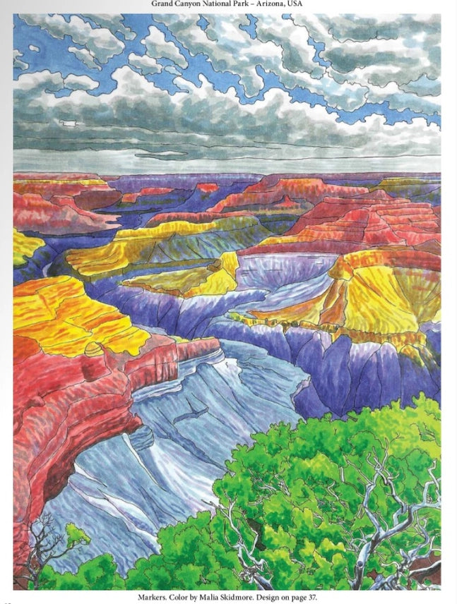 Wellspring- Coloring Book - National Parks