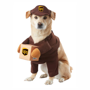 California Costumes - Halloween Costume UPS Pal