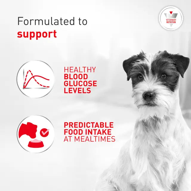 Royal Canin Veterinary Diet - Glycobalance Small Dog Dry