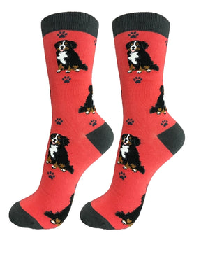 E & S Imports - Socks Bernese Mountain Dog Full Body