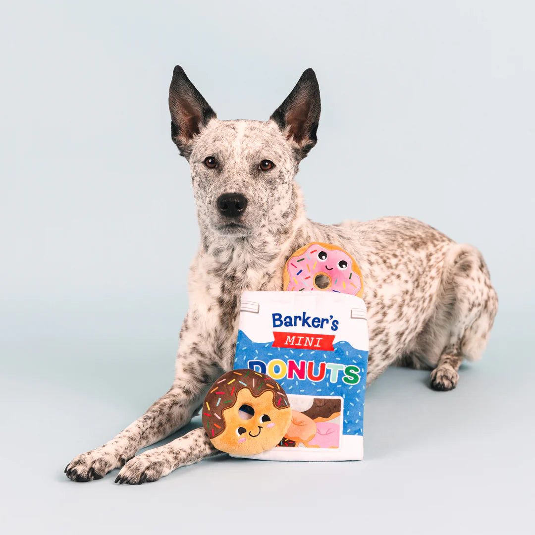 Petshop by Fringe Studio - Dog Toy Eat More Hole Foods