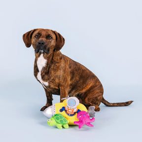 Petshop by Fringe Studio - Dog Toy Into the Deep Hide & Seek