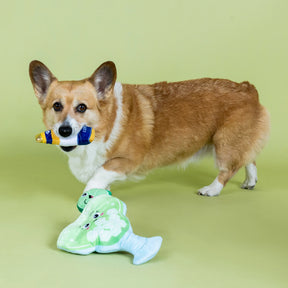 Petshop by Fringe Studio - Dog Toy Drop Me a Lime Hide & Seek