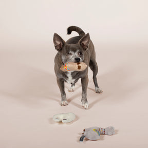 Petshop by Fringe Studio - Dog Toy Llama Love 3 piece