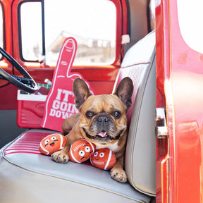 Petshop by Fringe Studio - I Get a Kick Out of You Dog Toy - Southern Agriculture 