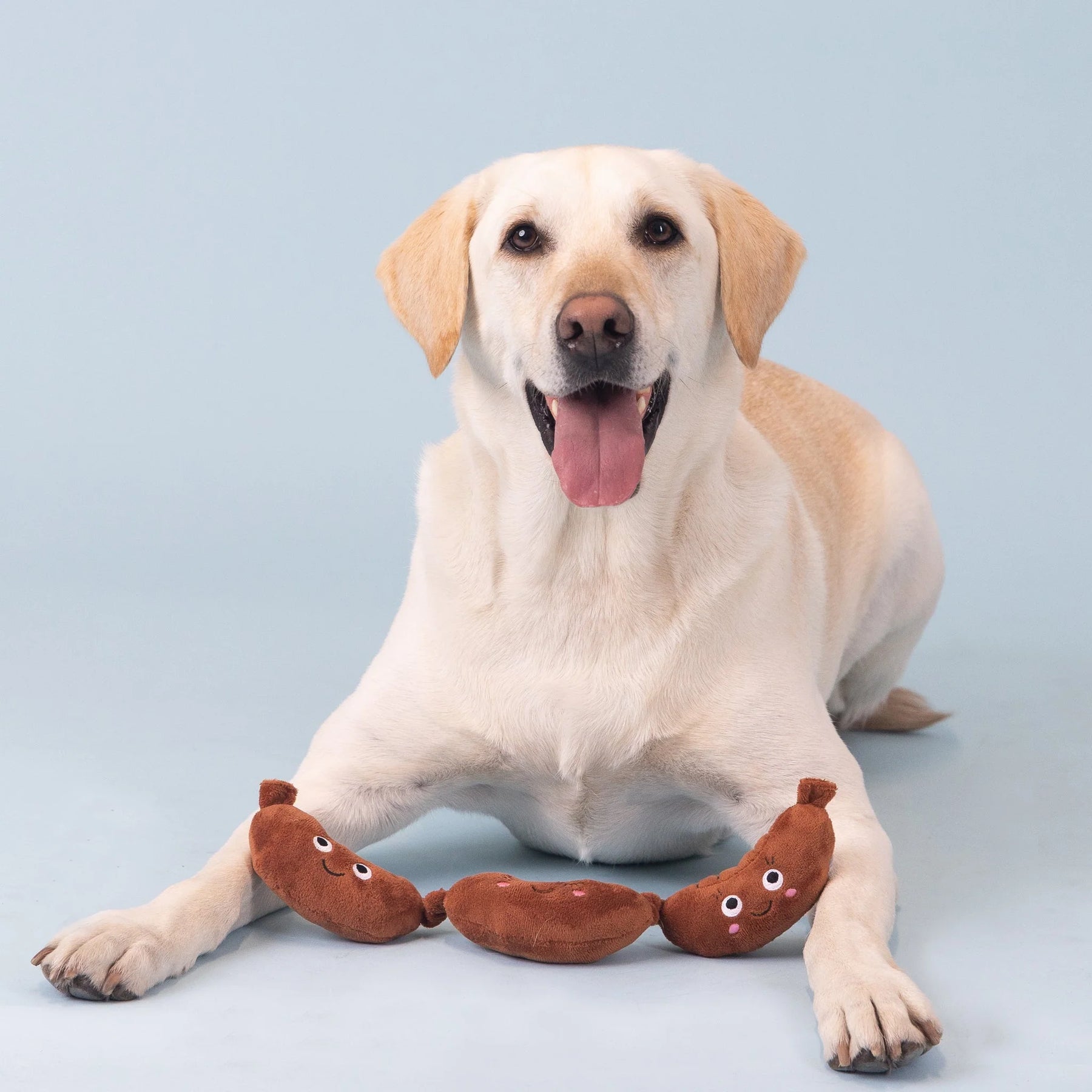 Petshop by Fringe Studio - Dog Toy Plush Making Ends Meat