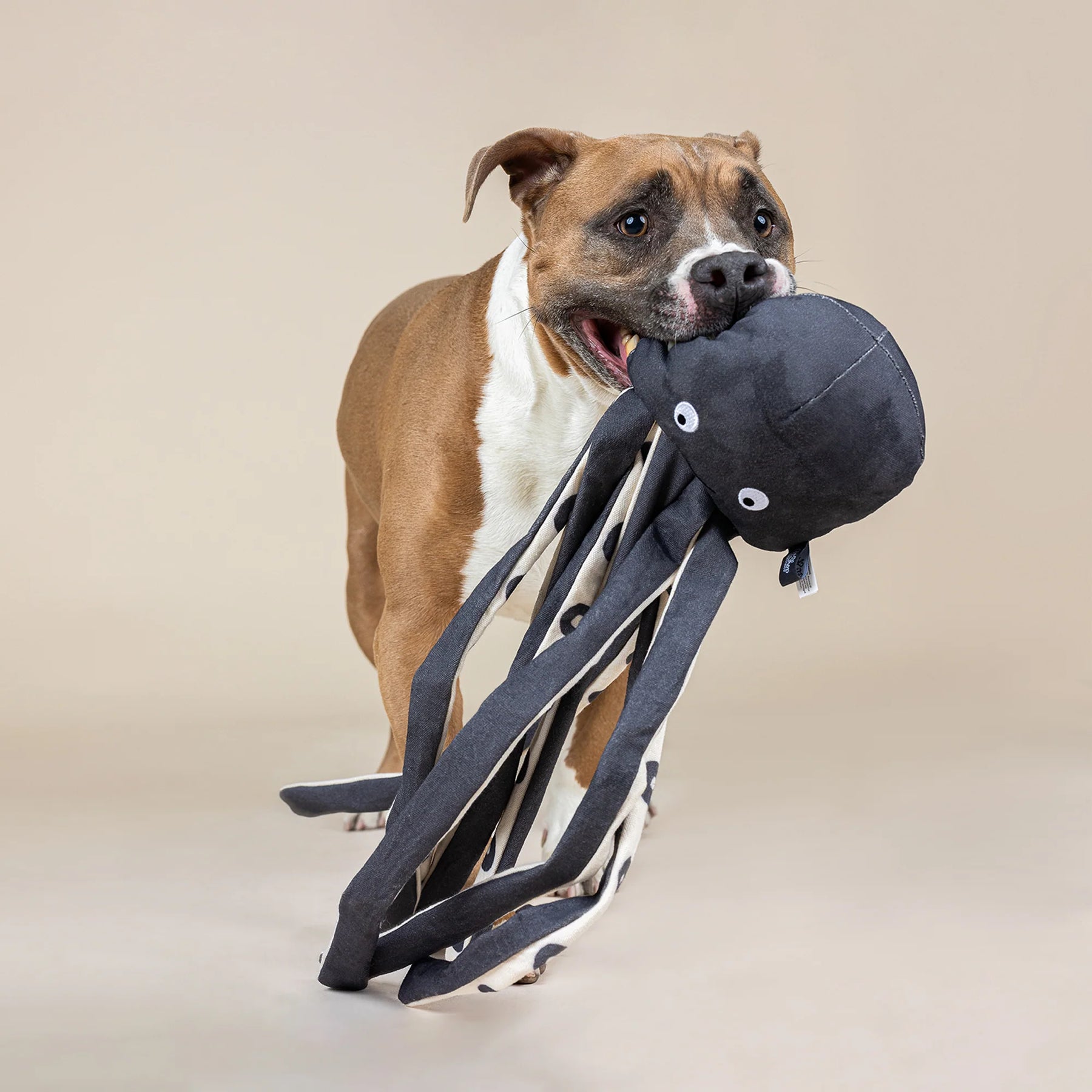 Petshop by Fringe Studio - Dog Toy Inking About You