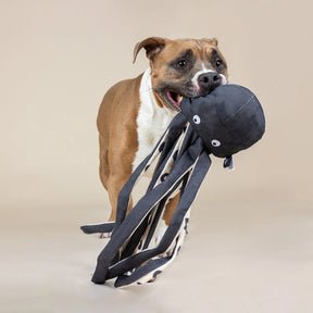 Petshop by Fringe Studio - Dog Toy Inking About You