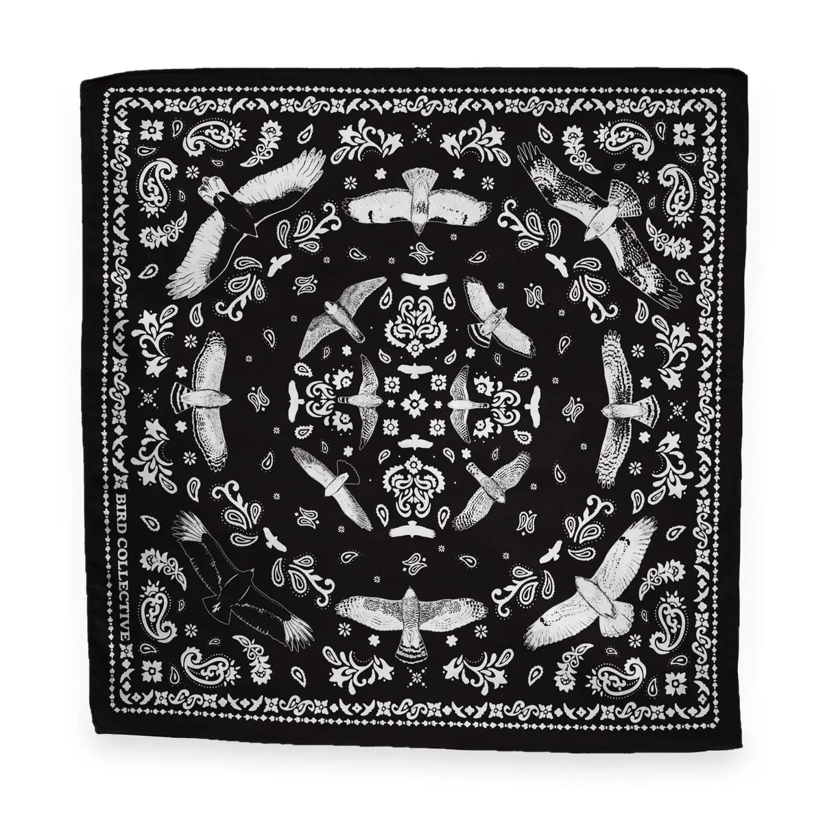 Bird Collective - Bandana Hawks In Flight