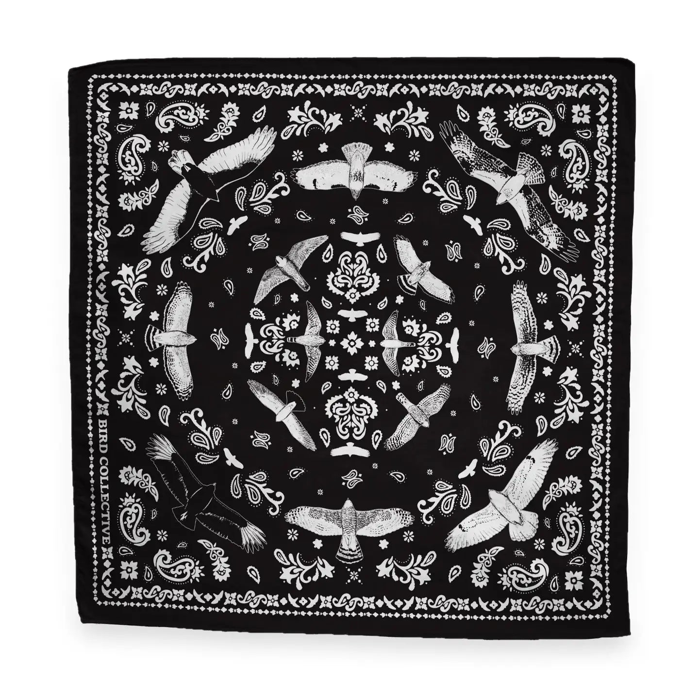Bird Collective - Bandana Hawks In Flight