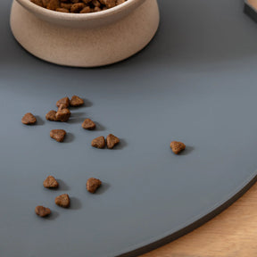 Park Life Designs - Oscar Silicone Cat Placemat