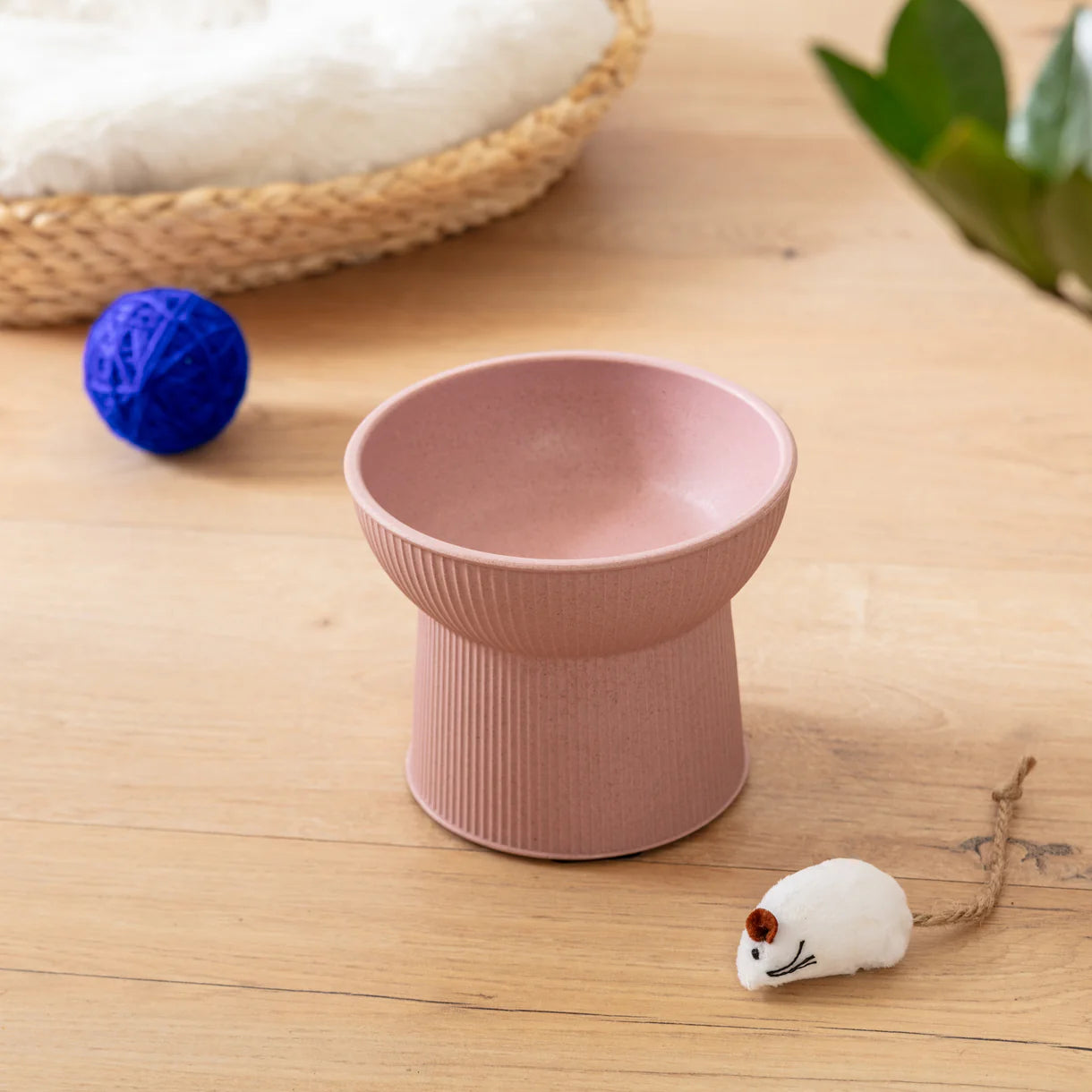 Park Life Designs - Albie Fluted Bamboo Cat Bowl
