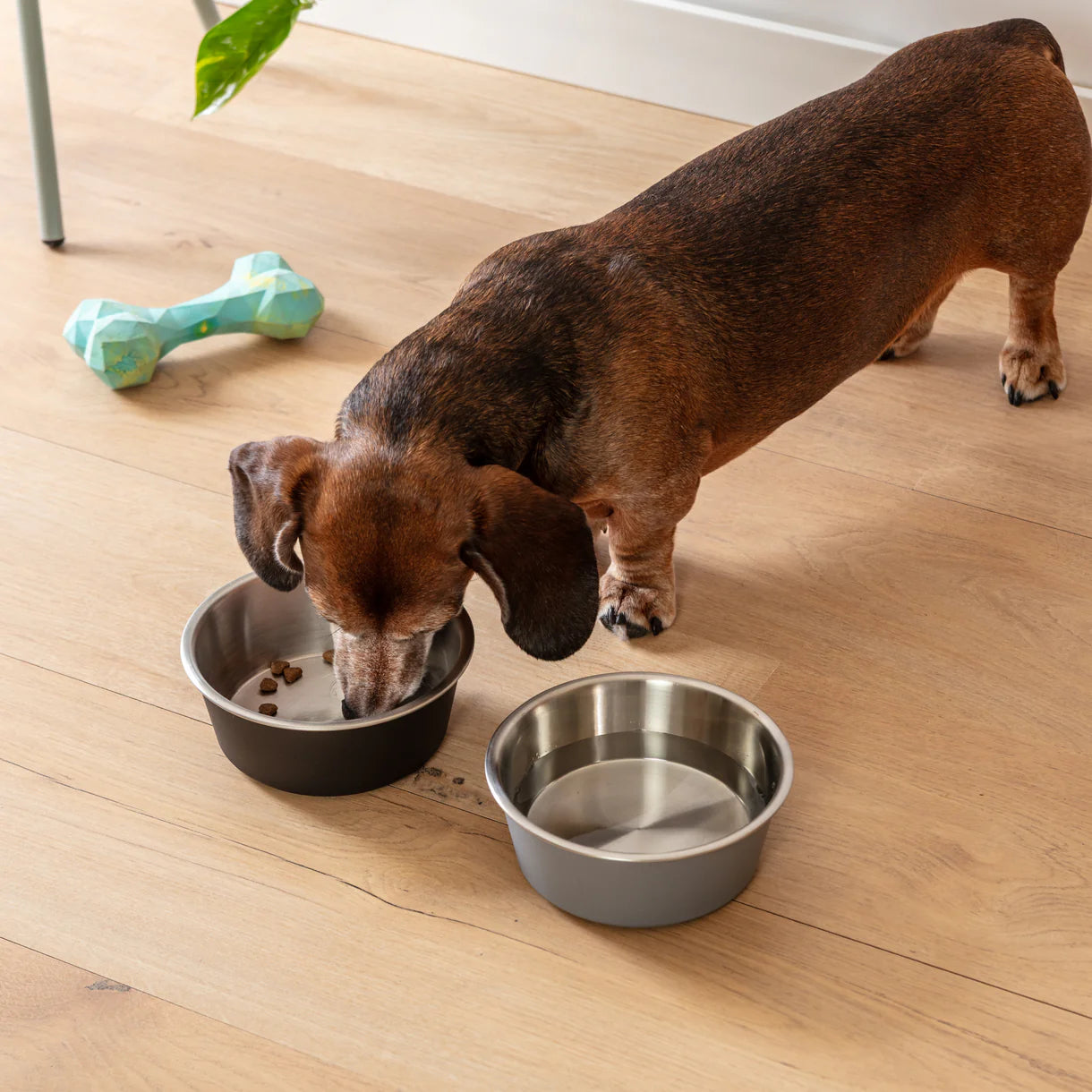 Park Life Designs - Malmo Pet Bowl