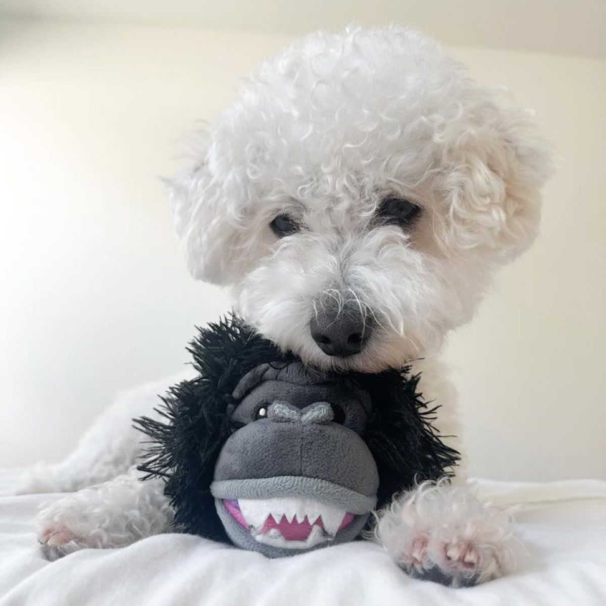 Tall Tails - Animal 2-in-1 Ball