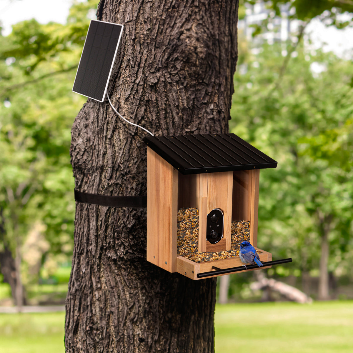 Evergreen Enterprises - Solar Wooden Bird Feeder - Southern Agriculture 