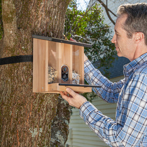 Evergreen Enterprises - Solar Wooden Bird Feeder - Southern Agriculture 