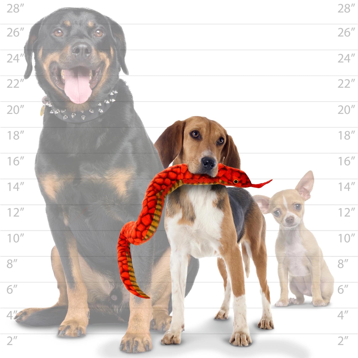 Tuffy Dog Toys - Desert Snake - Red