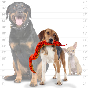 Tuffy Dog Toys - Desert Snake - Red
