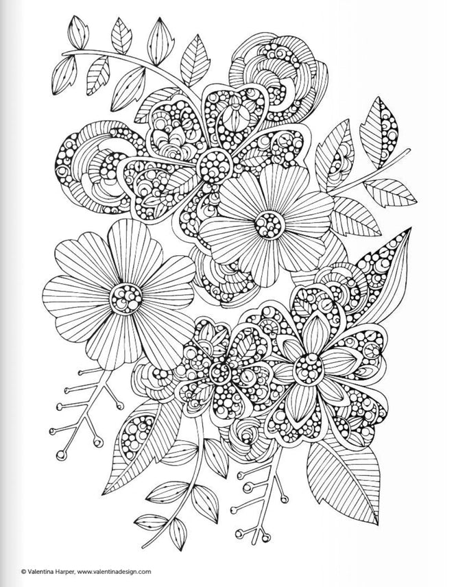 Wellspring- Coloring Book - Botanicals