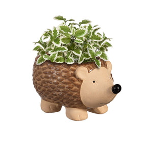 Evergreen Enterprises - Planter Hedgehog