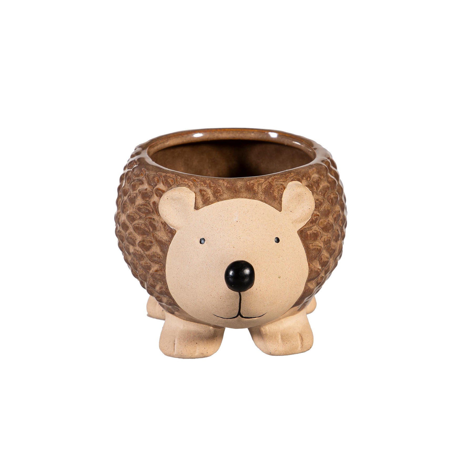 Evergreen Enterprises - Planter Hedgehog