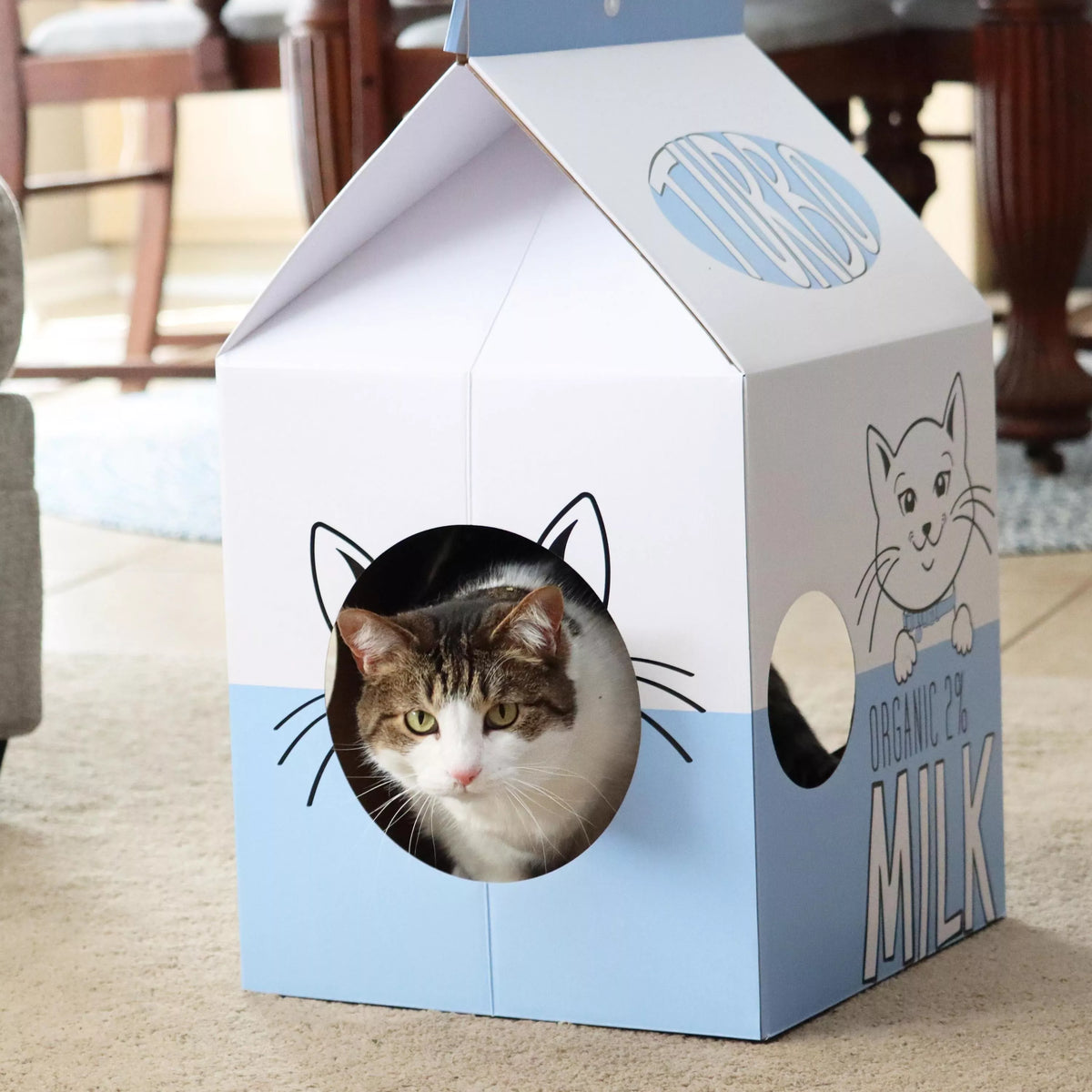 Coastal - Milk Carton Scratcher