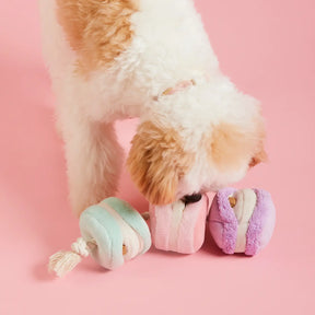 The Foggy Dog - Dog Toy Macarons