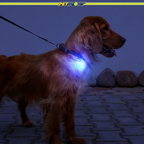 Petsport USA - Bling Bling Blinker Led Safety