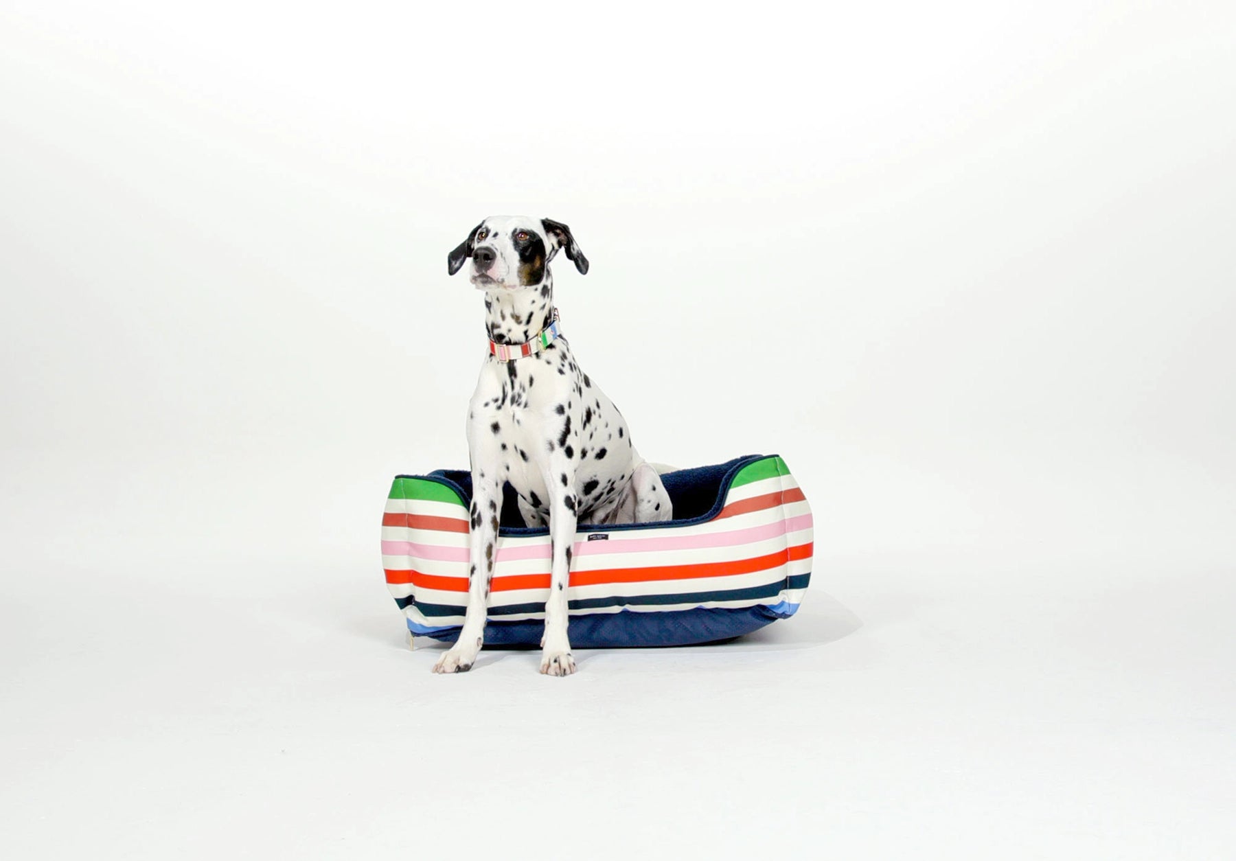 Kate Spade - Pet Bed Adventure Strip
