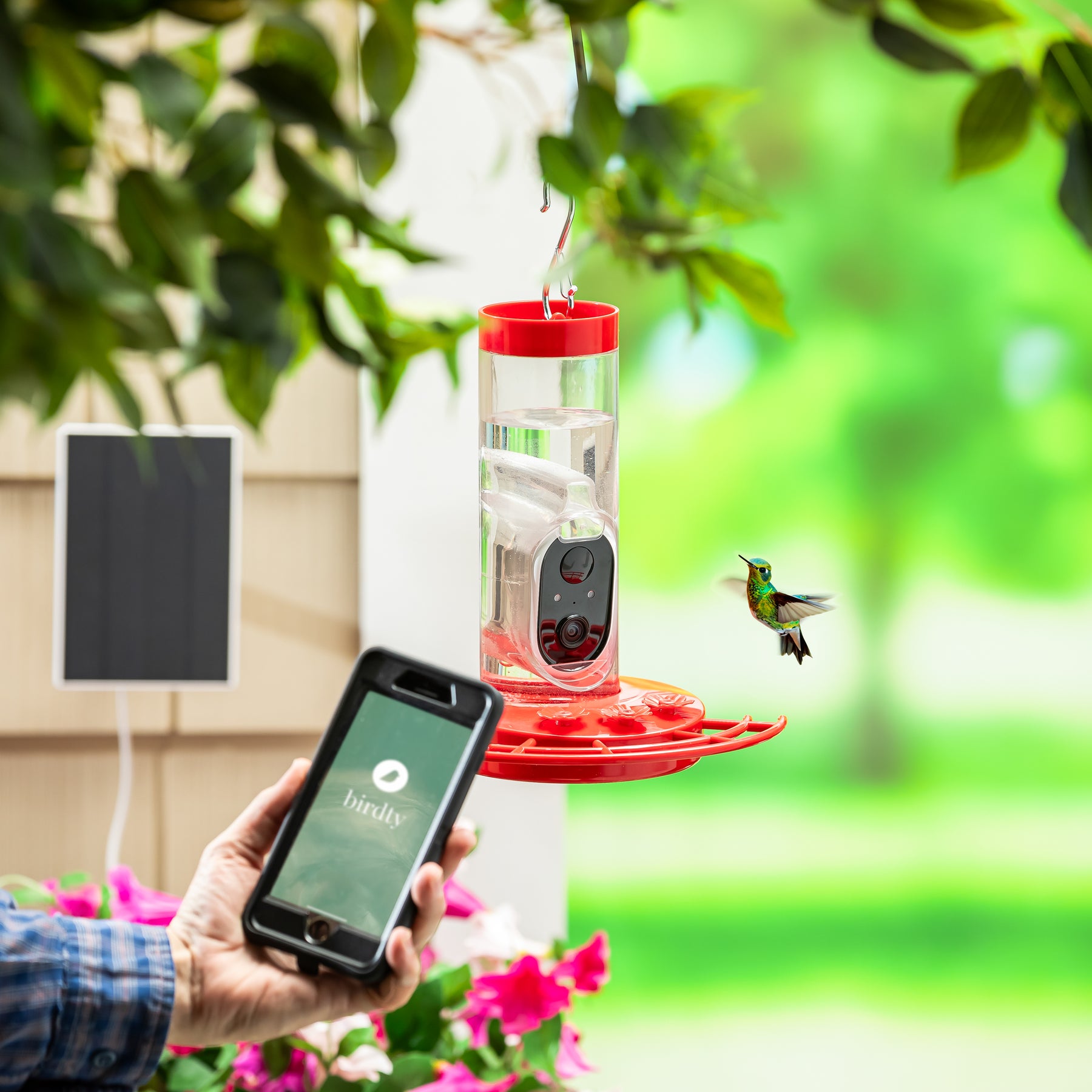 Evergreen Enterprises - Solar Hummingbird Bird Feeder - Southern Agriculture 