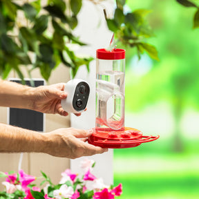 Evergreen Enterprises - Solar Hummingbird Bird Feeder - Southern Agriculture 