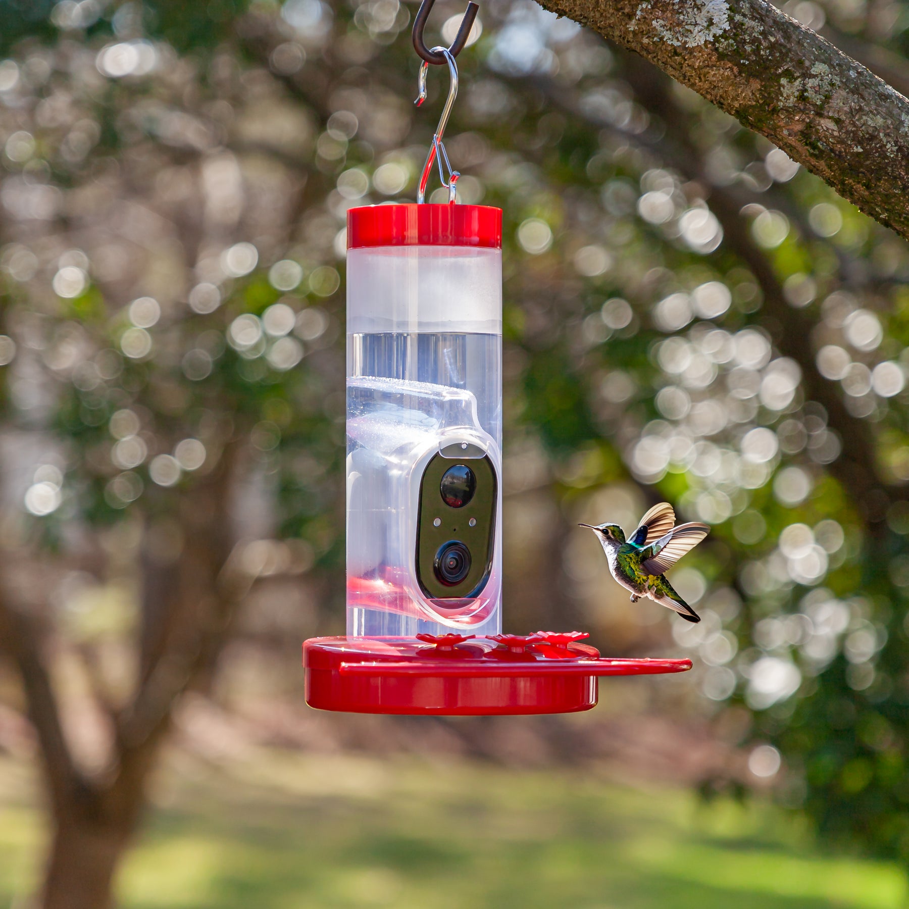 Evergreen Enterprises - Solar Hummingbird Bird Feeder - Southern Agriculture 