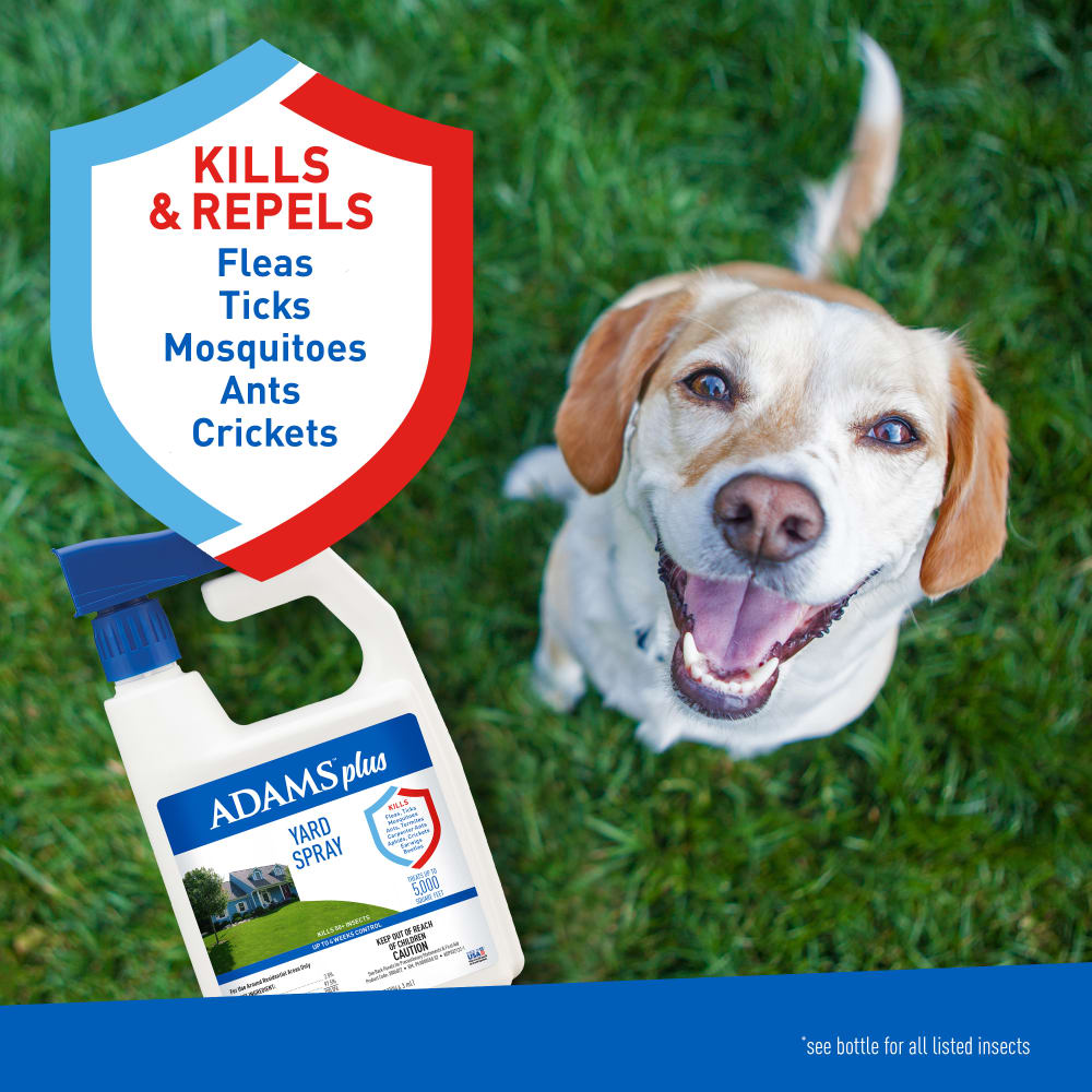 Adams - Flea & Tick Yard Spray w/ Sprayer
