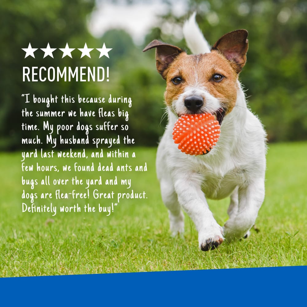 Adams - Flea & Tick Yard Spray w/ Sprayer