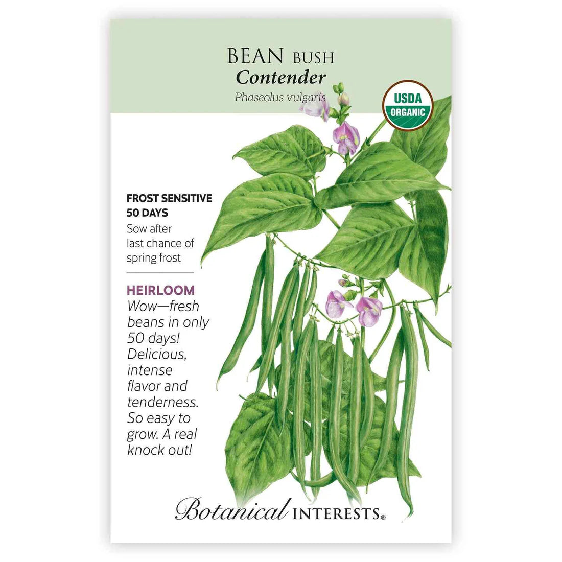 Botanical Interests, Inc. - Bean Bush (Green) Contender Seeds - Southern Agriculture 