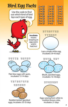 Wellspring- Activity Book - Bird Puzzles for Kids