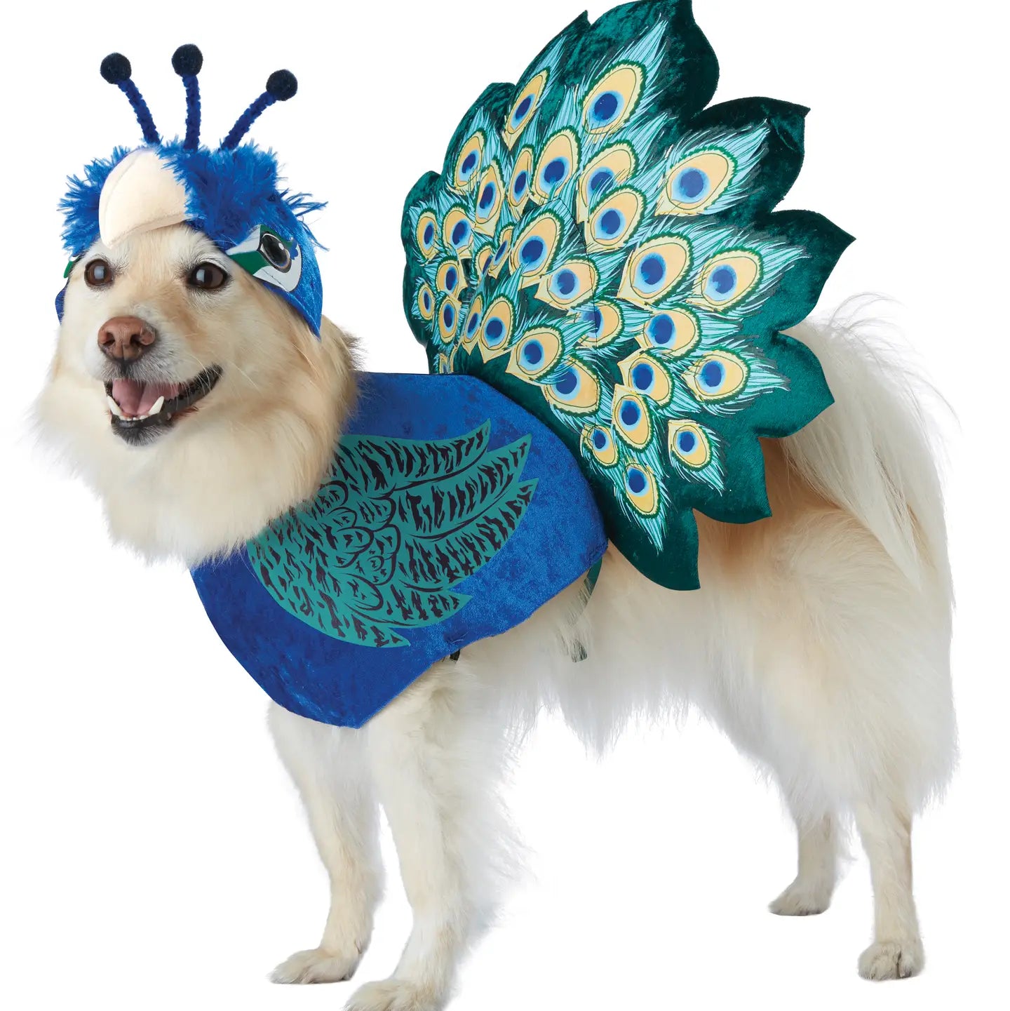 California Costumes - Halloween Costume Pretty As A Peacock