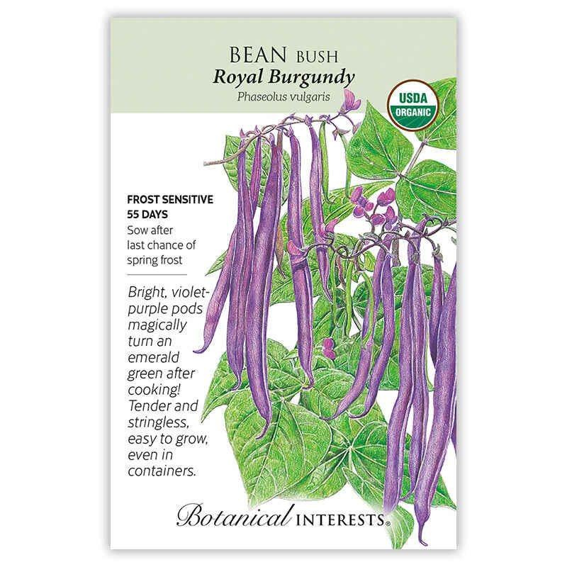 Botanical Interests, Inc. - Royal Burgundy Bush Bean Seeds - Southern Agriculture 