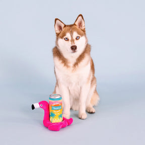 Petshop by Fringe Studio - Dog Toy Pool Toys Sun Rays (2 Piece)