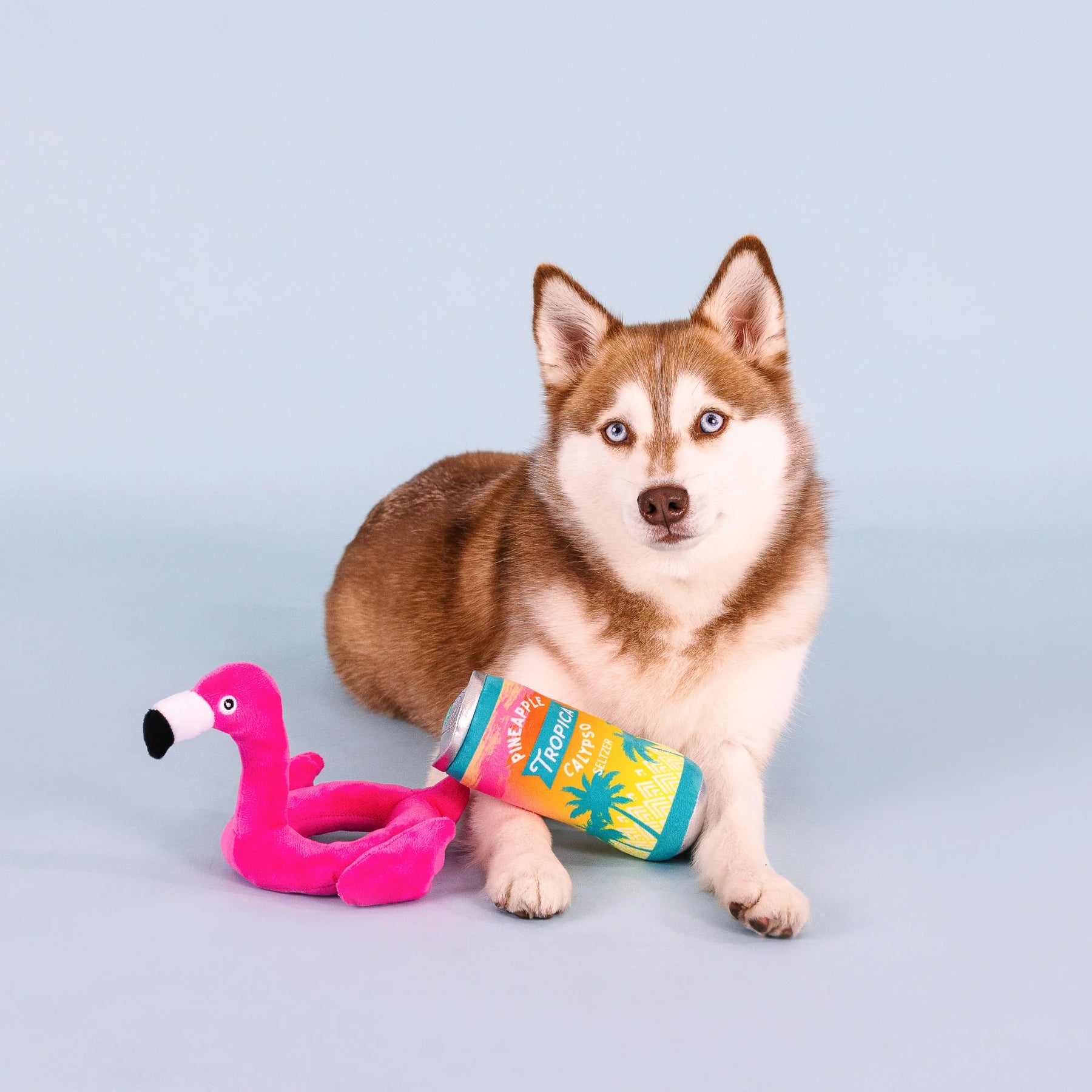 Petshop by Fringe Studio - Dog Toy Pool Toys Sun Rays (2 Piece)