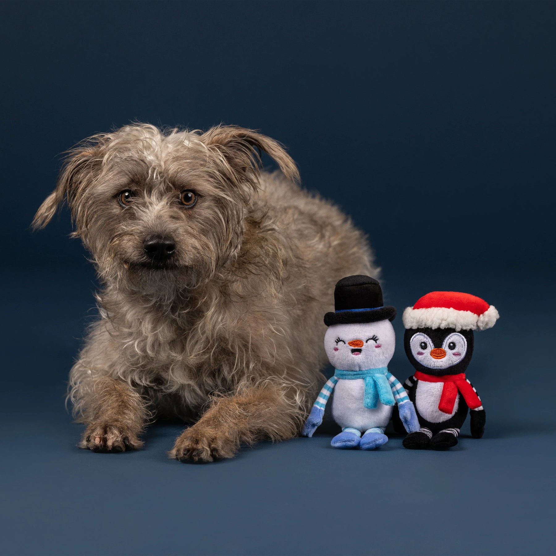 Petshop by Fringe Studio - Dog Toy 2 Pcs Set Ultimate Chiller