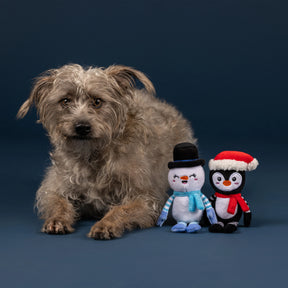 Petshop by Fringe Studio - Dog Toy 2 Pcs Set Ultimate Chiller