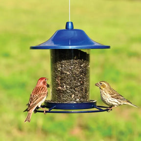 Perky Pet - Panorama Seed Feeder Sure-Lock Cap